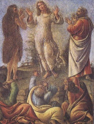 Sandro Botticelli Transfiguration,wtih St jerome and St Augustine (mk36) Germany oil painting art